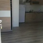 Nogic * Peroj