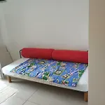 Nogic 페로이