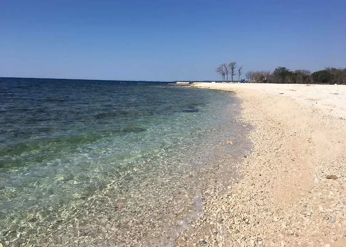 דירה Nogic פרוי